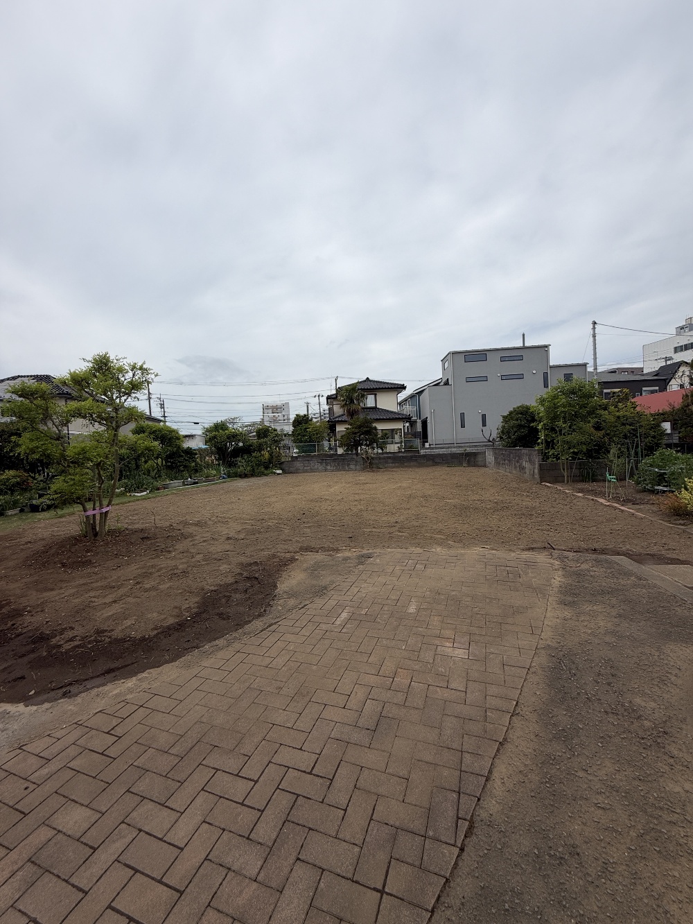 解体工事が完了