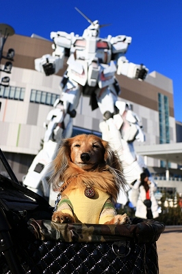 お台場ガンダムわんこ