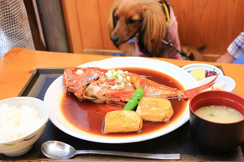 金目鯛の煮つけ定食とワンコ