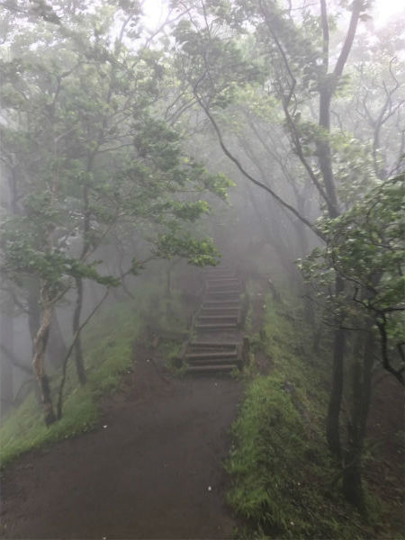 雨