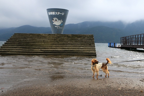 湖畔とくるみ