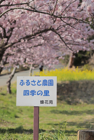 蜂花苑看板