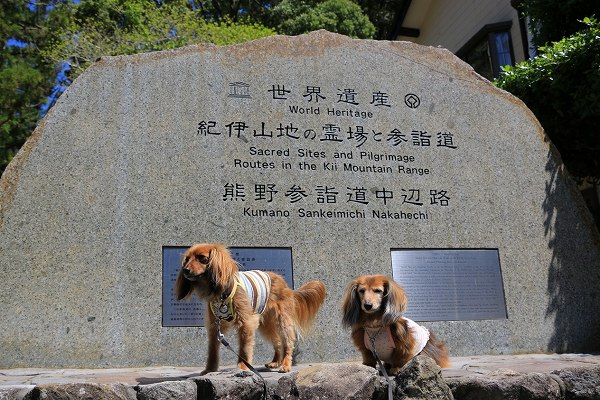 熊野古道石